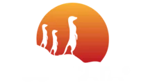 Suricata